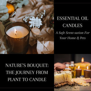 Essential Oil Candles: A Safe Scent-sation For Your Home & Pets?