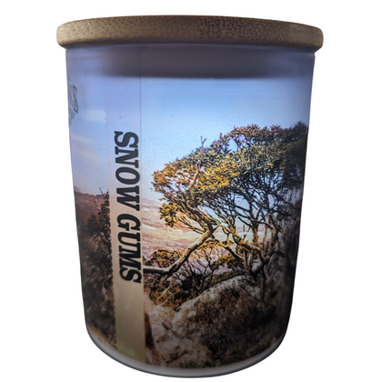 Snow Gums Scenic Jar Candle